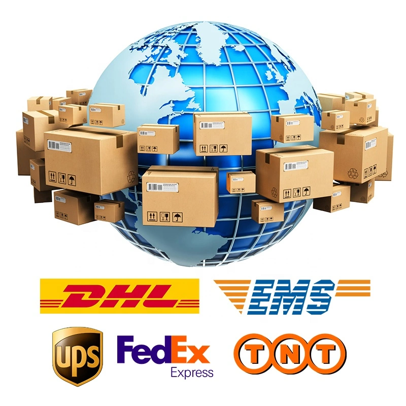 Internationaler DHL/UPS/FedEx/TNT Air Cargo Shipping Service nach US/UK/Europa/Kanada mit Best Versandkosten