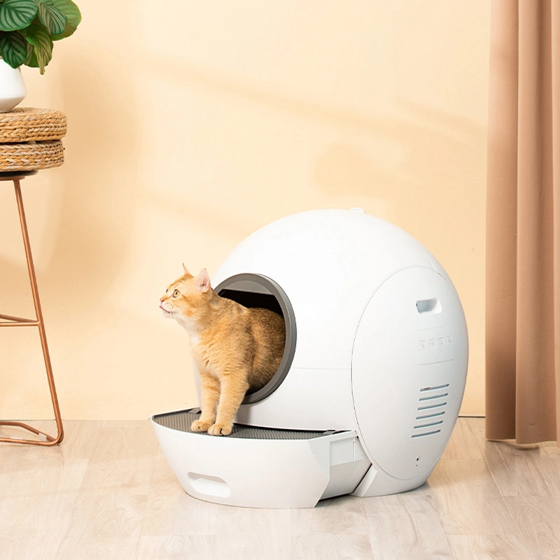 Producto Mayorista/Proveedor de artículos para mascotas gato wc Litter Box entrada frontal de la caja de arena de gato gato gatito wc