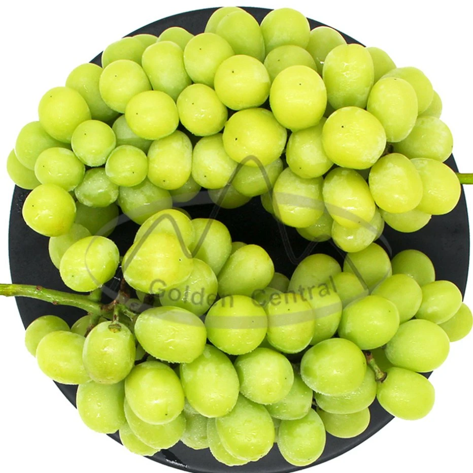 Hot Selling Fresh Sweet Delicious Juicy Shine Muscat Green Grape