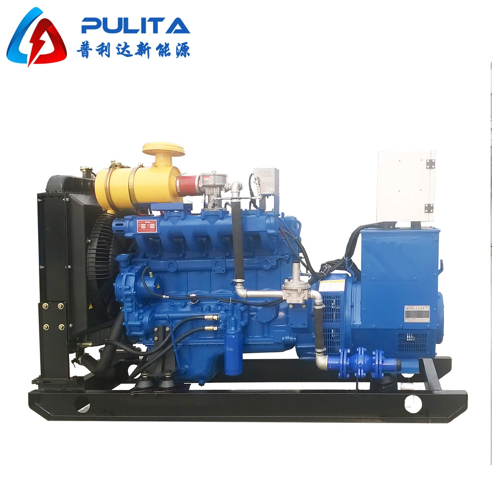 Natural Gas Electronic Engine for Sale 10kw 20kw 50kw 100kw 200kw 500kw Biogas Generator