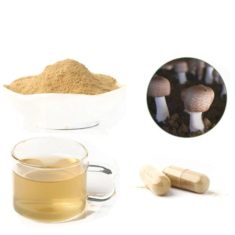 Health Supplement Organic Agaricus Blazei Extract Powder Plant Extract