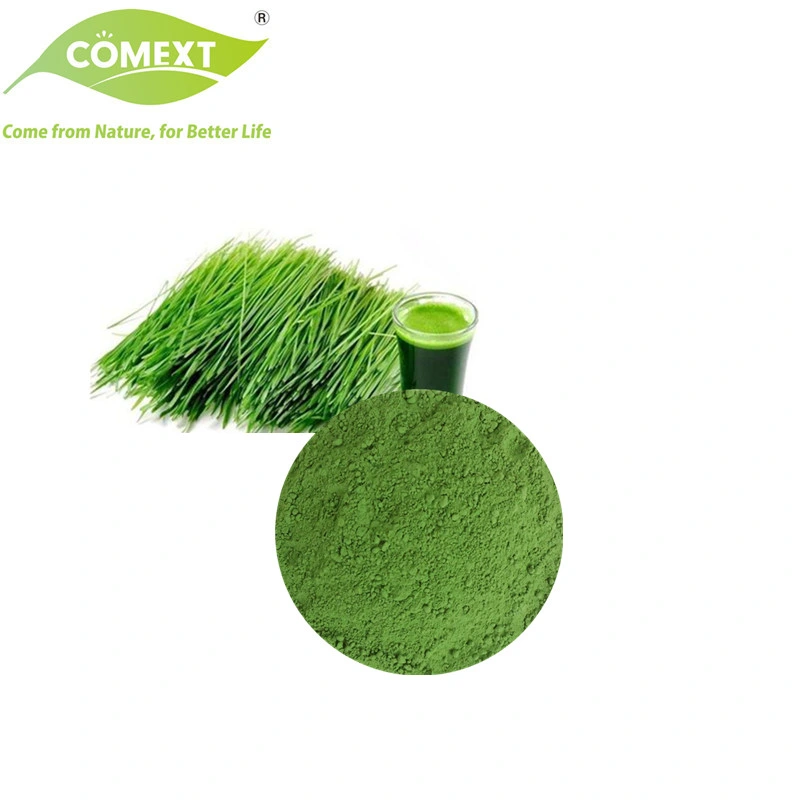 Comext USA Warehouse ISO22000 Halal Certificated Natural 100% Pure Green Juice Powder Barley Grass Powder