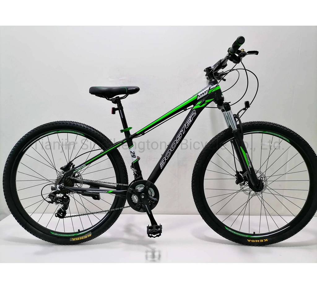 29" 24speeds Hydraulic Disc Brake MTB Bike 29inch Wheels Alloy Other Bike