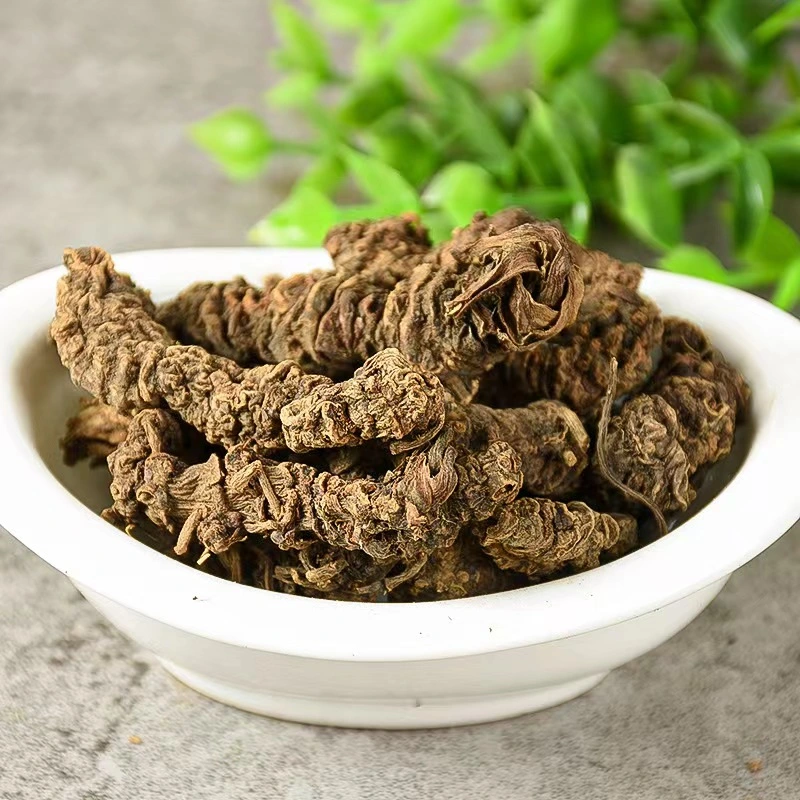 Chinese Herb Raw Material Valeriana Officinalis Dried Valerian Root