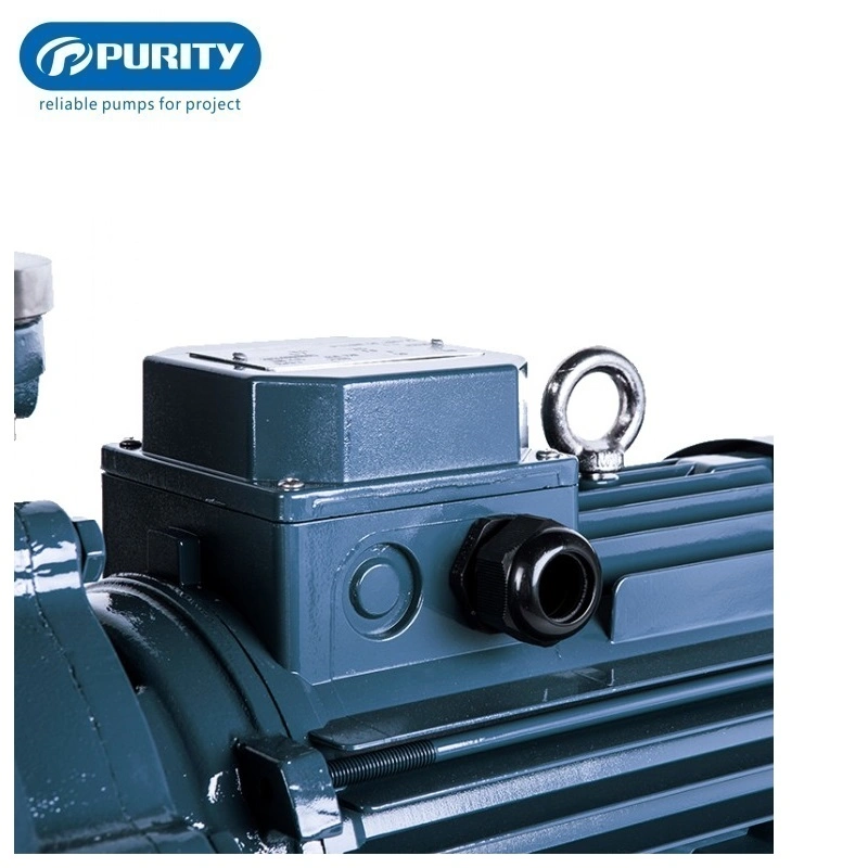 Advanced Technology Practical and Durable High Pressure Single-Stage Pump