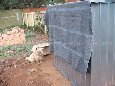 Cage de couche de poulet de haute qualité pour les fermes de volaille de la chouette (DSF6X4-C1)