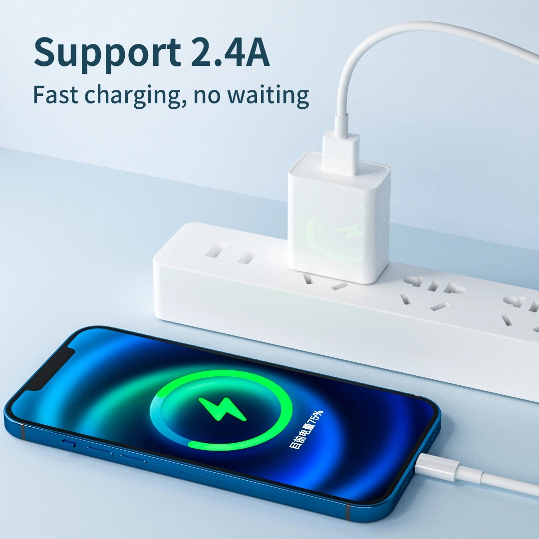 OEM ODM 12W USB a Power Adapter USB Charger Fast Charging Charger for Mobile Phone 12/Phone 12 PRO