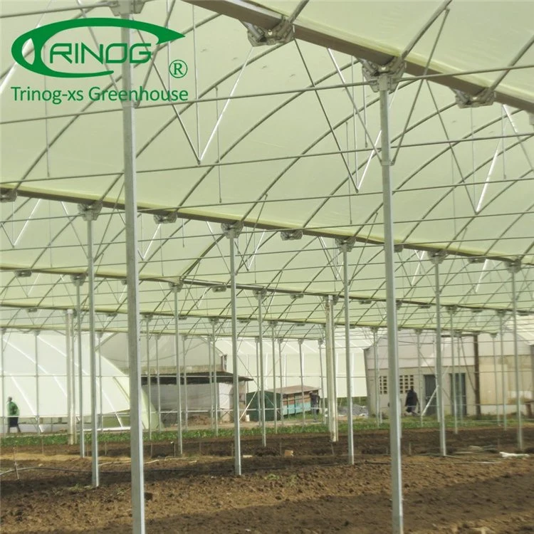 2020 Original Factory Multi-span Film Greenhouse