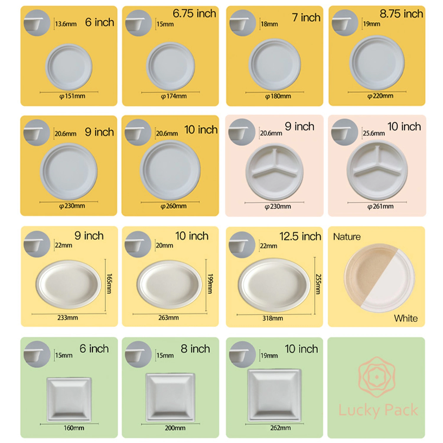 El bagazo de caña de papel desechables Compostable suministros parte