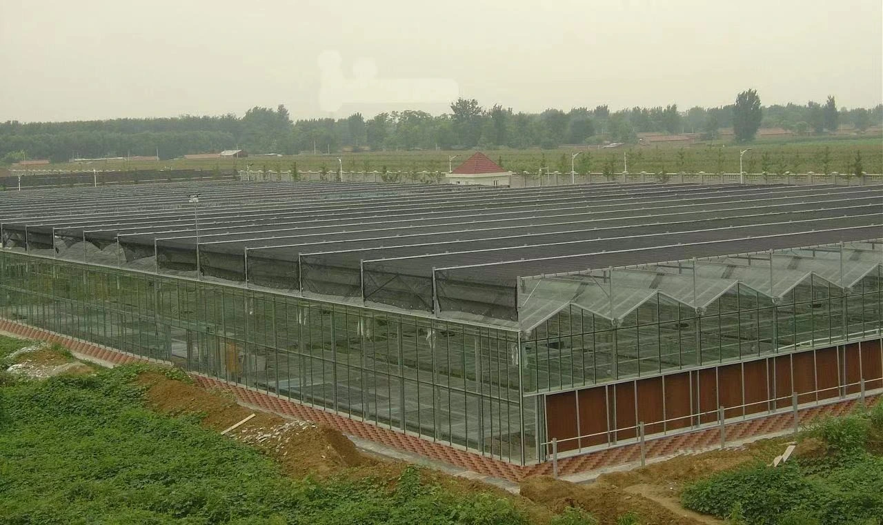 Glass Green House Greenhouse Manufacturers with Temperature Control System/Fan/Seedbed/External/Internal Shading