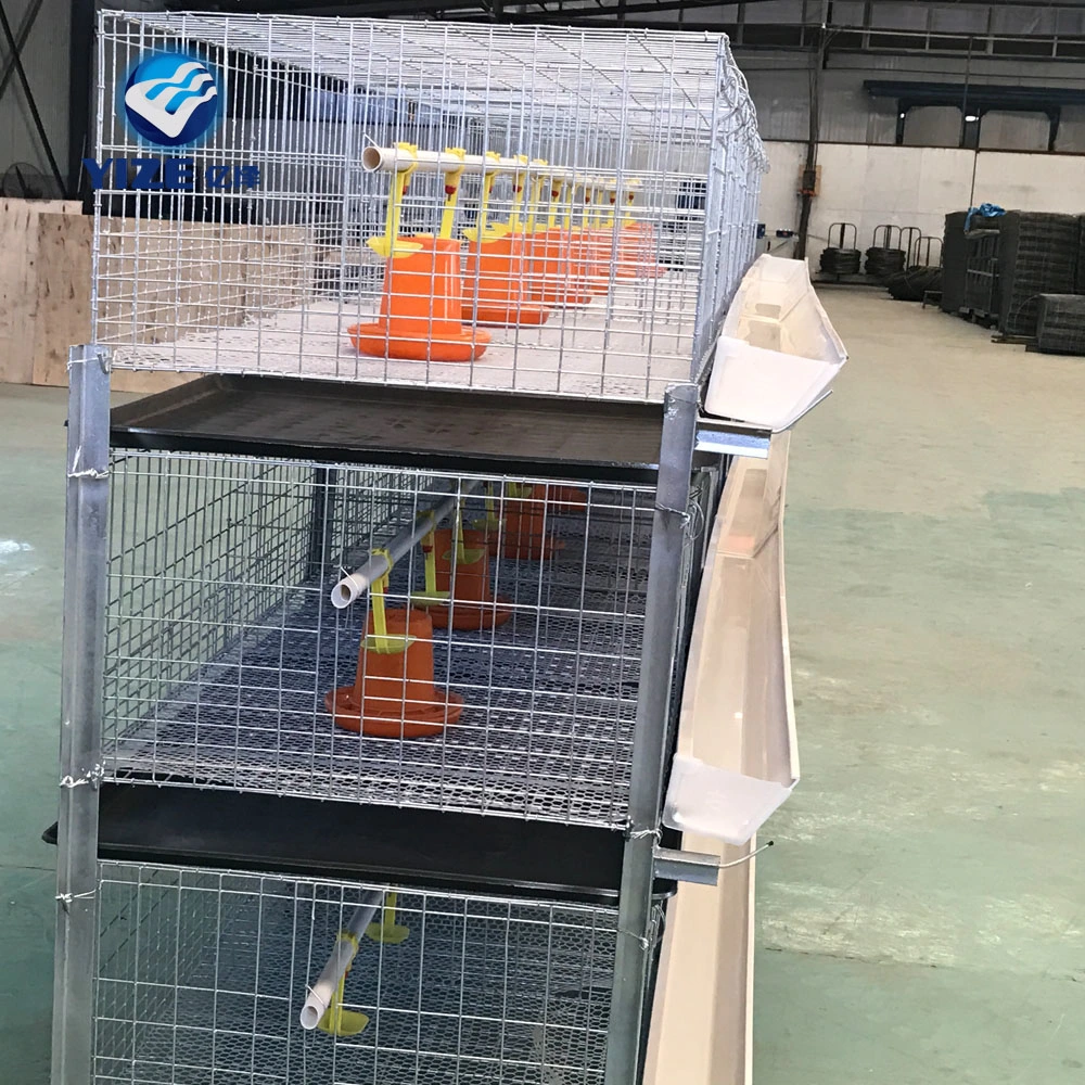 Automatic 4 Tier H Type Broiler Cage in Philippines Battery Chicken Cages for Commercial Broiler