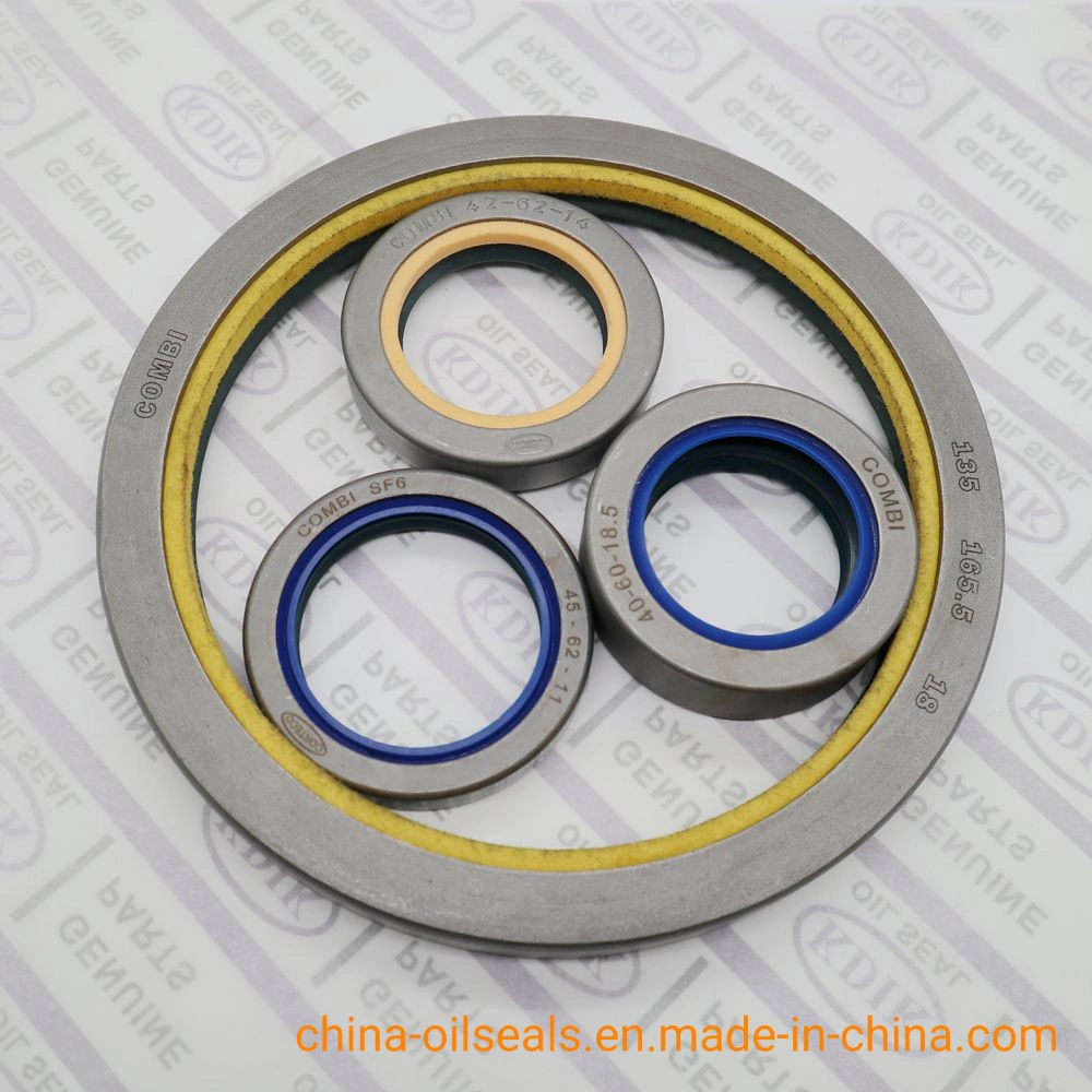 High quality/High cost performance Combi Sf6 Oil Seal 48*65*16.5 OEM 12017310b for Tractor Parts Seal China Kdik Factory