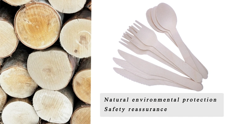 Eco-Friend Wooden Tableware with Spoon Knif Folk