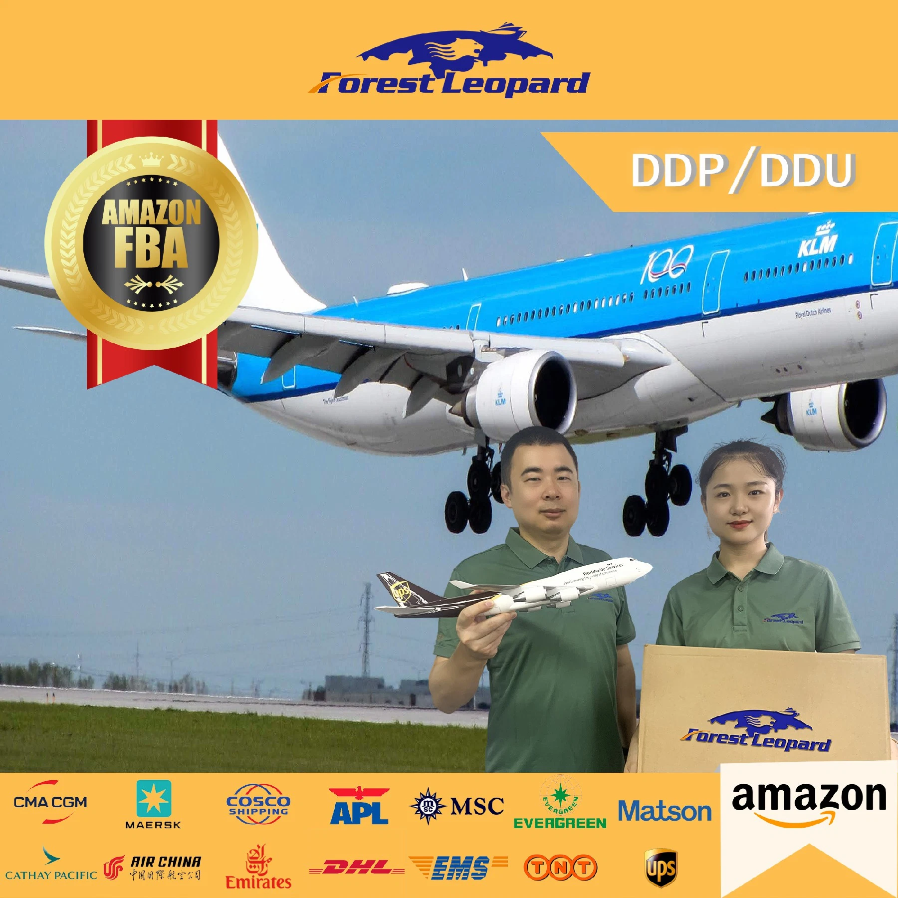 Porte à porte International Air Cargo DDP à d'expédition de UE USA de Shenzhen transitaire