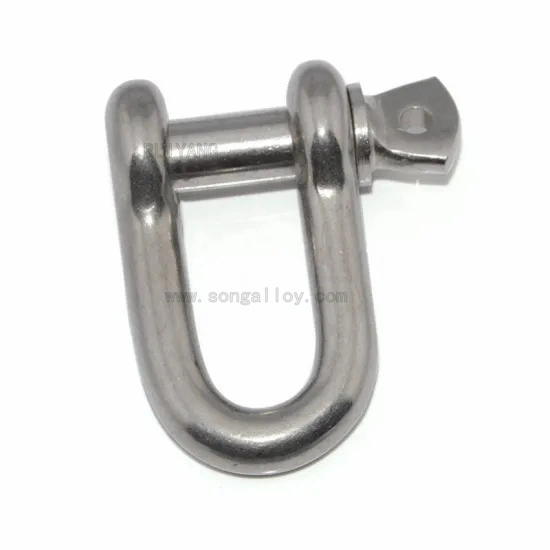 European Dee Shackles in Stainless Steel for Riggings