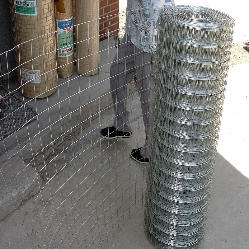 Hot Dipped Electro Galvanized Welded Poultry Wire Mesh Net