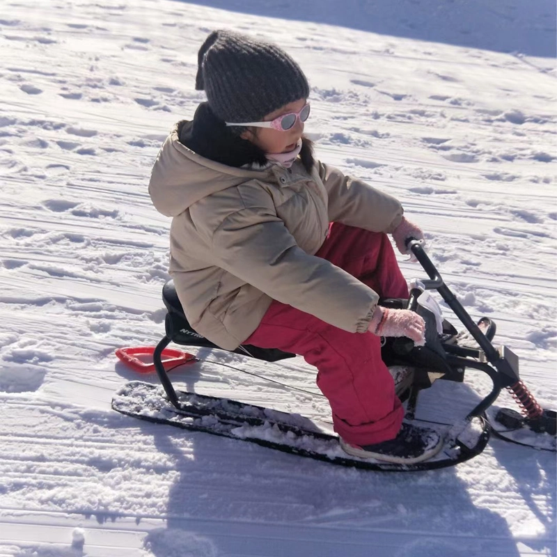 Fabricante suministro trineo de nieve Scooter trineo nieve esquí bicicleta de nieve