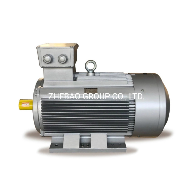 6 Poles 160kw 990rpm High Efficiency 3 Phase Induction AC Electric Motor