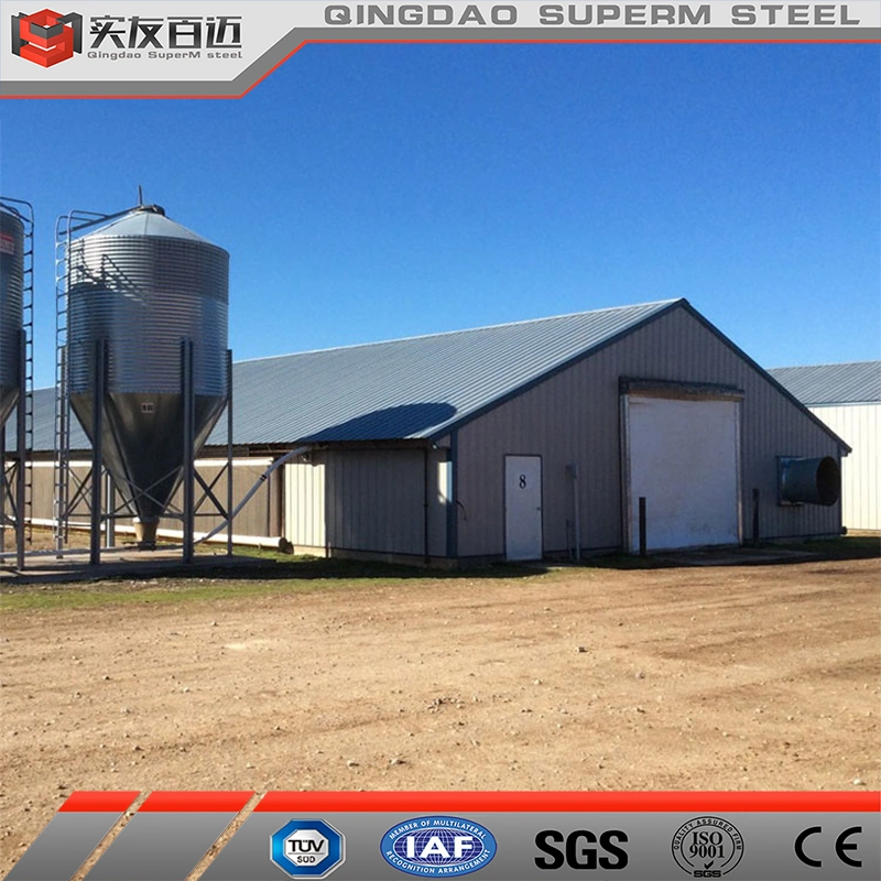 High Strength Light Steel Structure Building Poultry Chicken Broiler Farm House