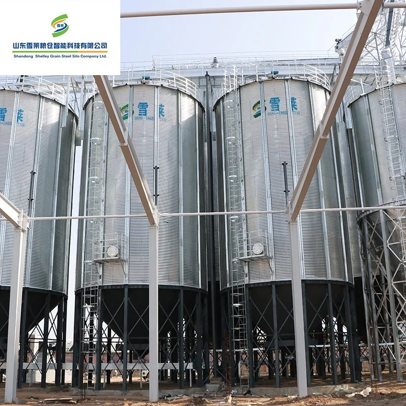 Bolted Assembly Steel Flat Bottom Farm Grain Maize Wheat Soya Storage Silos for Sale