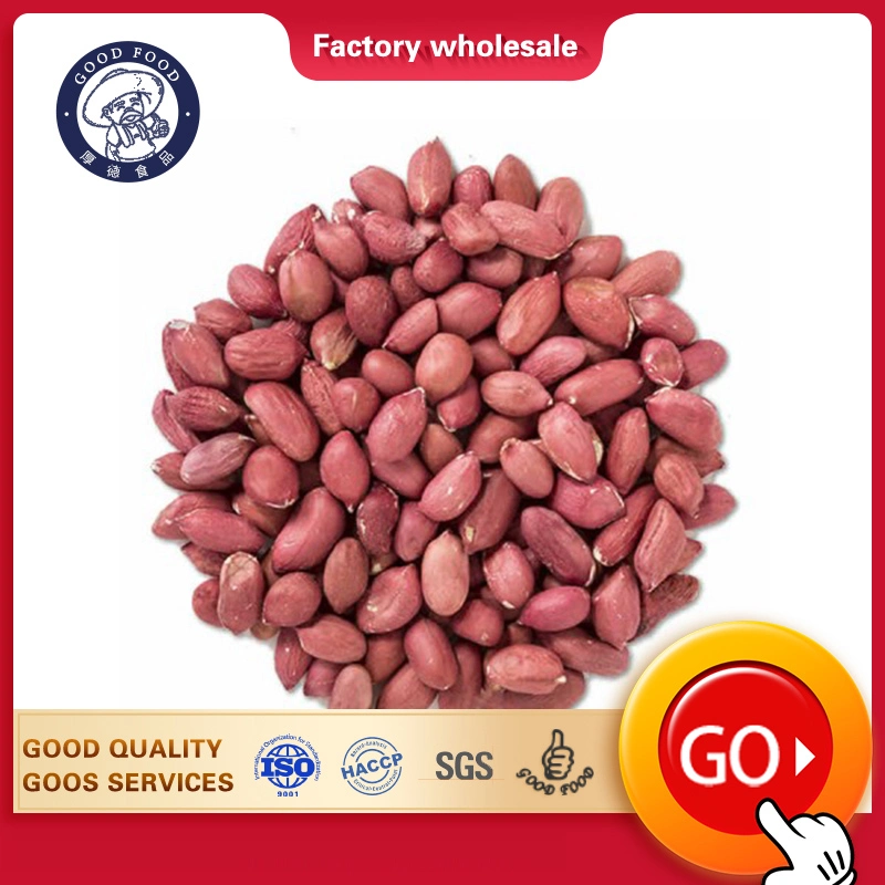 New Crop Natural Dried Kernel Peanuts Groundnut Raw/Fresh Red Peanuts