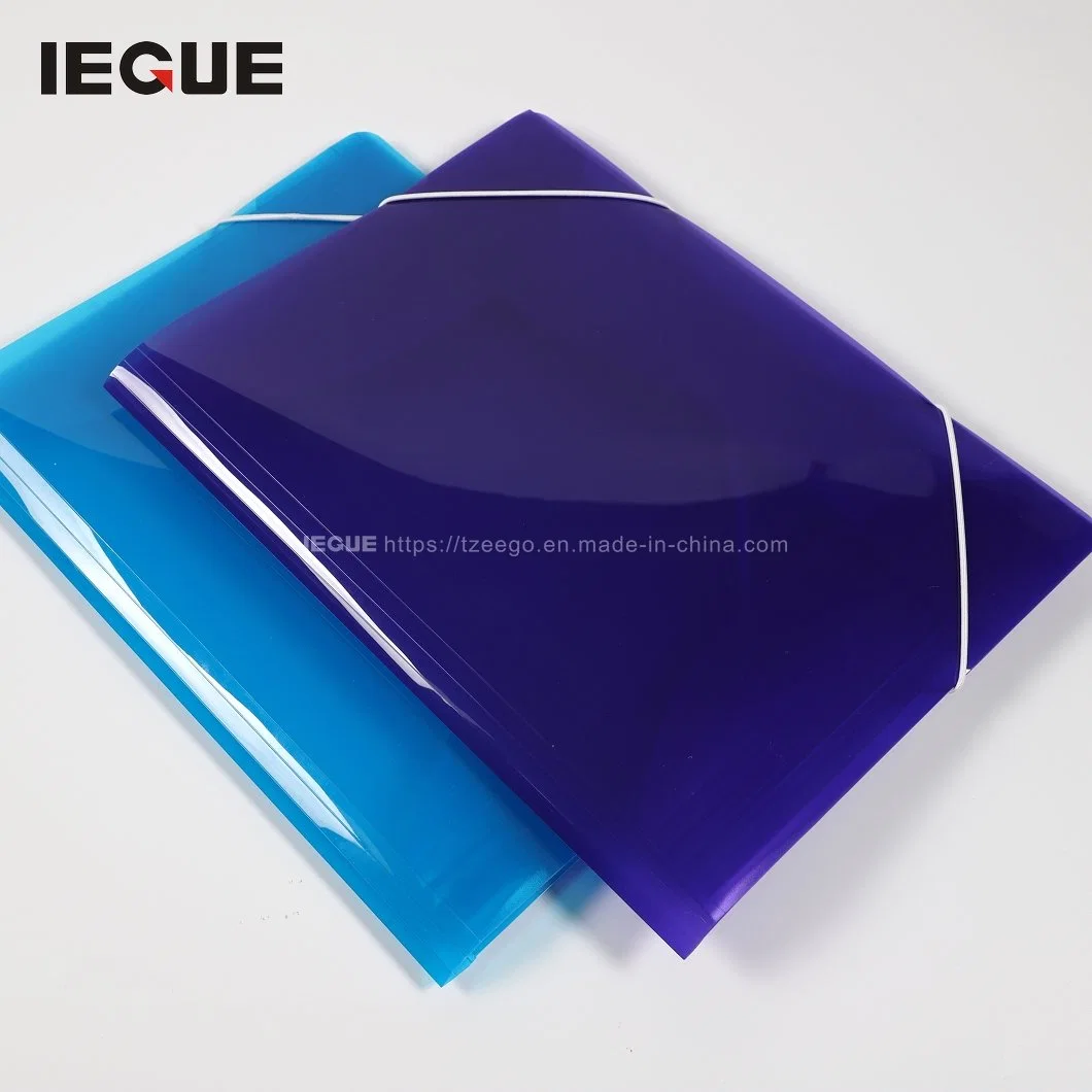 Manufacturer PP Plastic A4 Report File Folder with Fastener