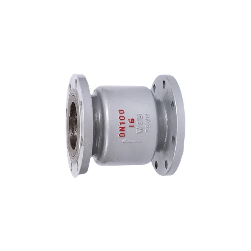 H42h/W/N Stainless Steel Flow Control Cut off Flange Pipe Vertical Check Valve