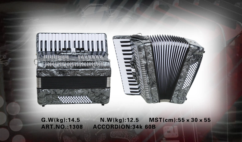 Accordion/ Keyboard Accordion / 60 Bass /Keyboard (CA1308)