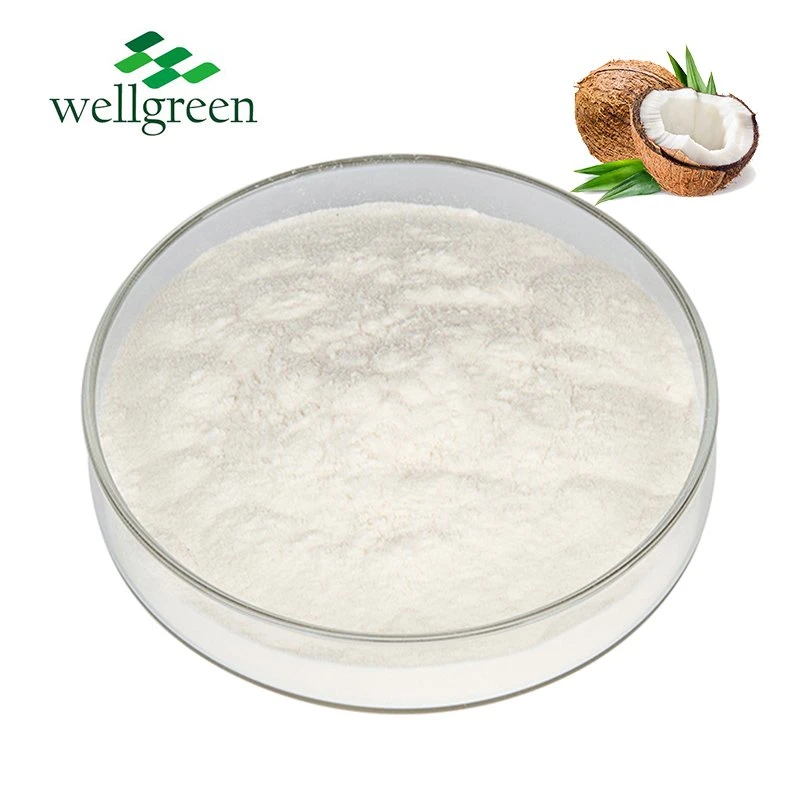 Wellgreen Supply High Quality Best Price Coconut Shell Charcoal Powder Mct Coconut Oil Powder