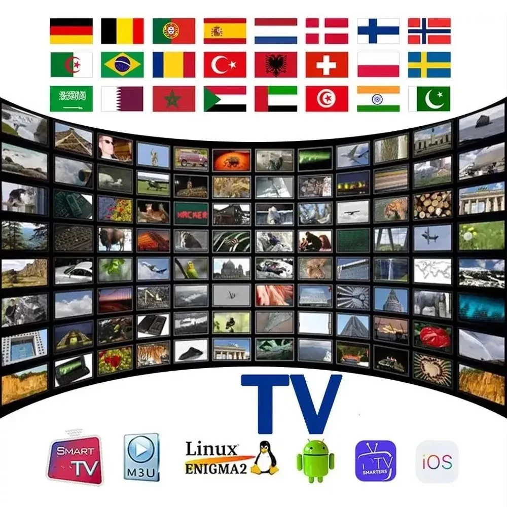 IPTV Subscrription Dino Ott Reseller Panel Credits Smart TV Support Xtream Codes Stalker M3u Line Nodic Euro Latin Us Ca Android 4K HD Android Mag