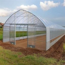 Low Tunnel Greenhouse 8m*10m Strawberry Tunnel Cheap Greenhouse Supplies