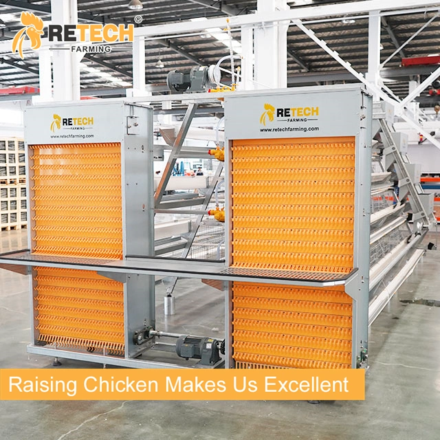 A Type Fully Automatic Poultry Farm Layer Chicken Cage Equipment in Indonesia