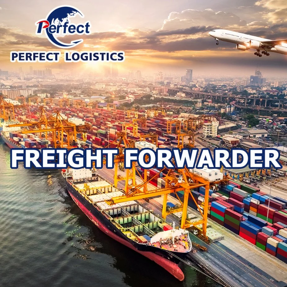 Cheap Freight Rates Shipping Logistics Service Agent From China to Estonia