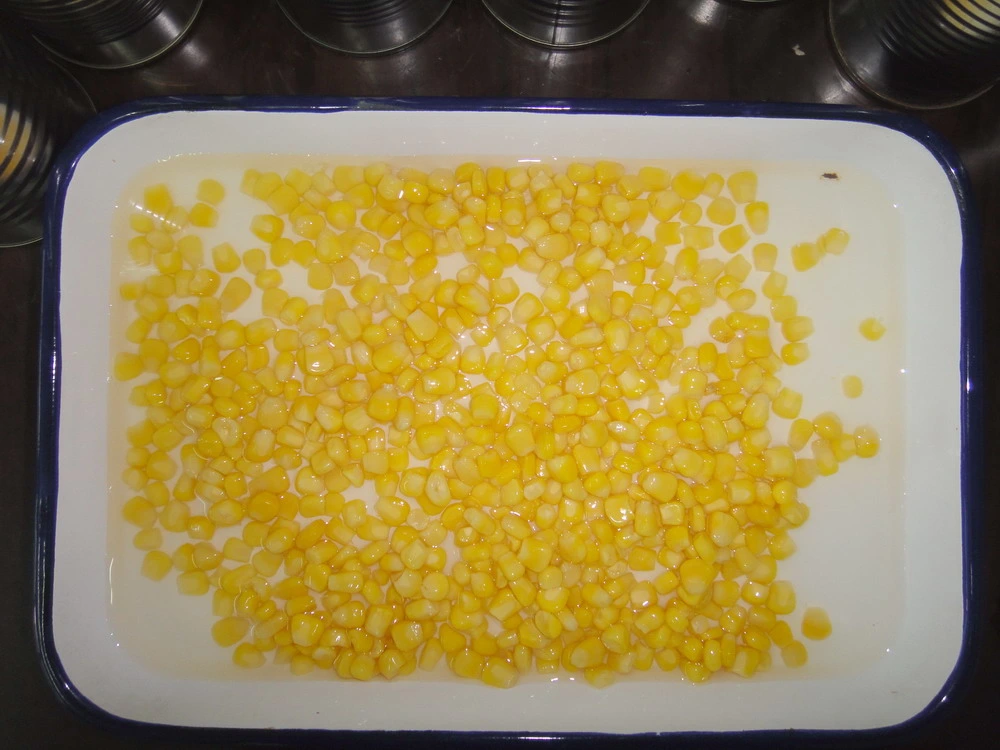 Canned Sweet Corn Whole Grain in Brine 800g