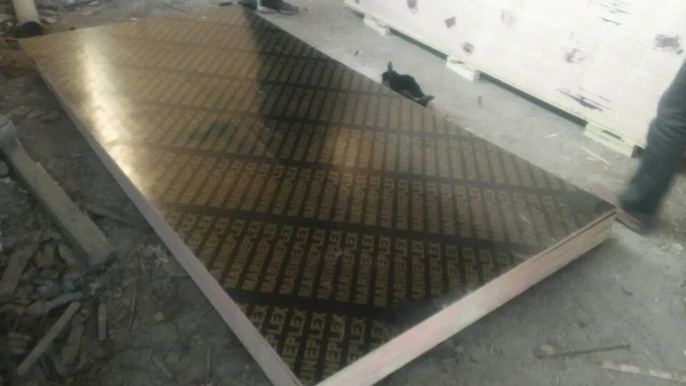 Brown/ Black/ Green/ Red Film Faced Plywood for Construction