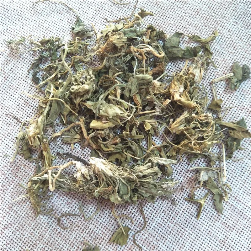 Zi Hua Di Ding Dried Herbs Chinese Viola Phillipina Herba