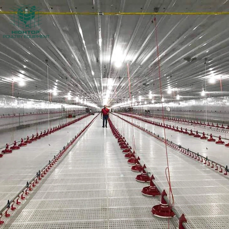 Livestock Poultry Farm Chicken House Coop Automatic Pan Feeding And Drinking System For Broiler Layer