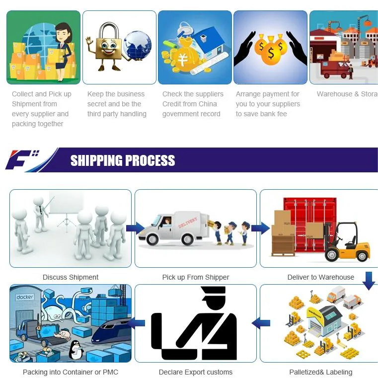 خدمة النقل والإمداد بالشحنة البحرية الاحترافية من الصين إلى بحر الأردن Forwarder