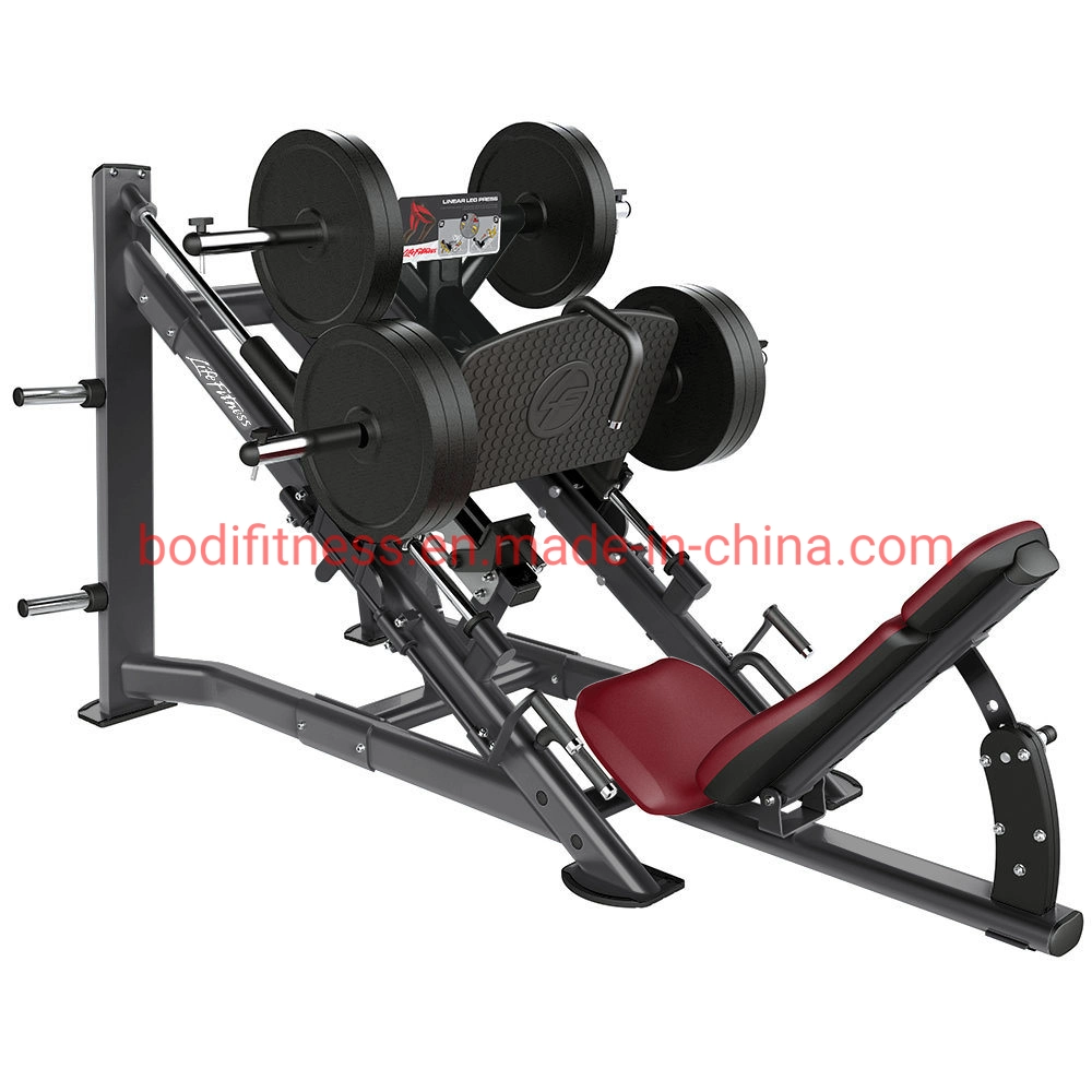 Wholesale/Supplier Seated Leg Extension Home Leg Training Gym Equipment