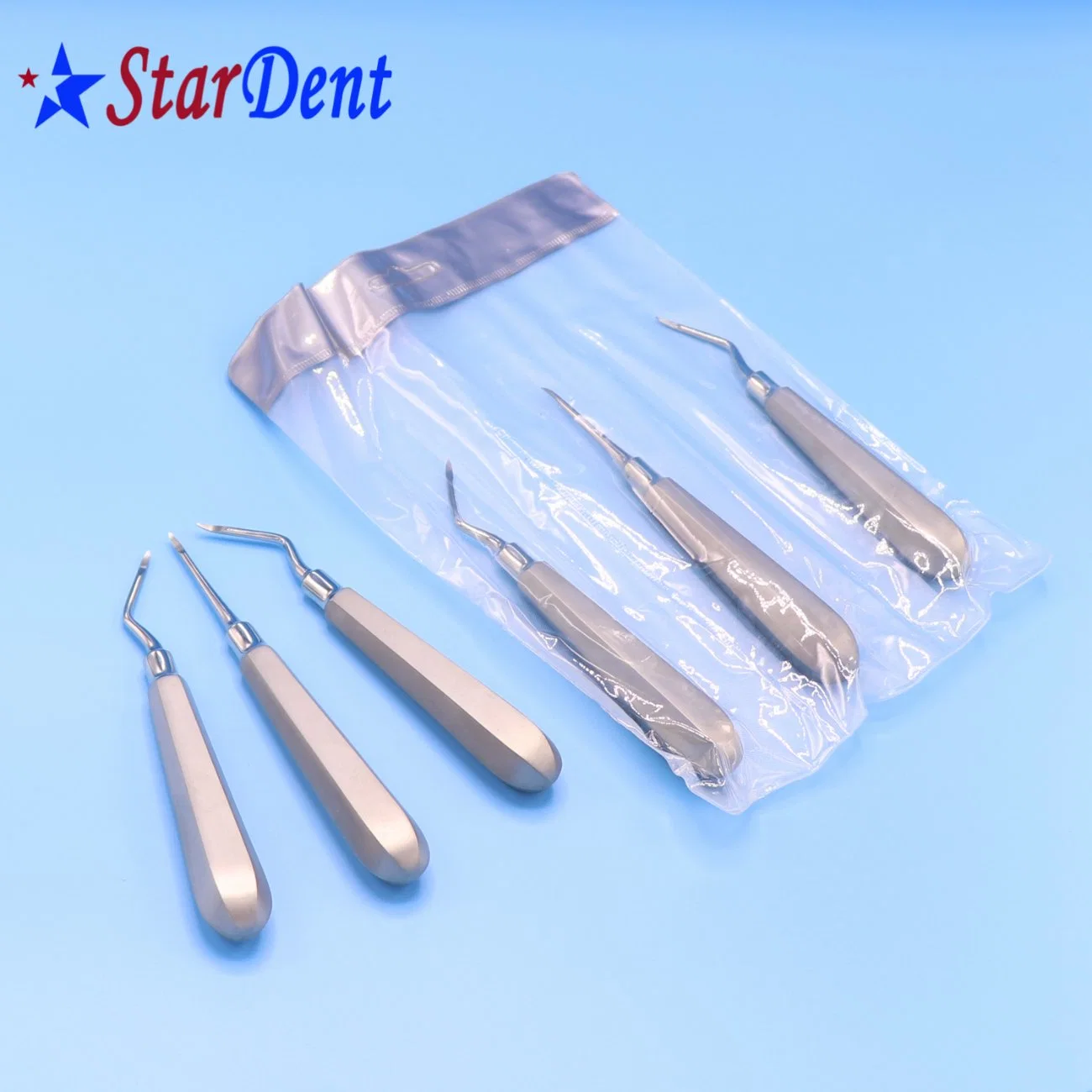 Hot Sale Dental Elevator Set/Dental Equipment/Dental Supplies