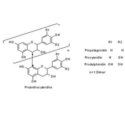 Suministro de fábrica de extracto de hierbas Ingredientes Activos Extracto de semilla de uva Resveratrol polifenol