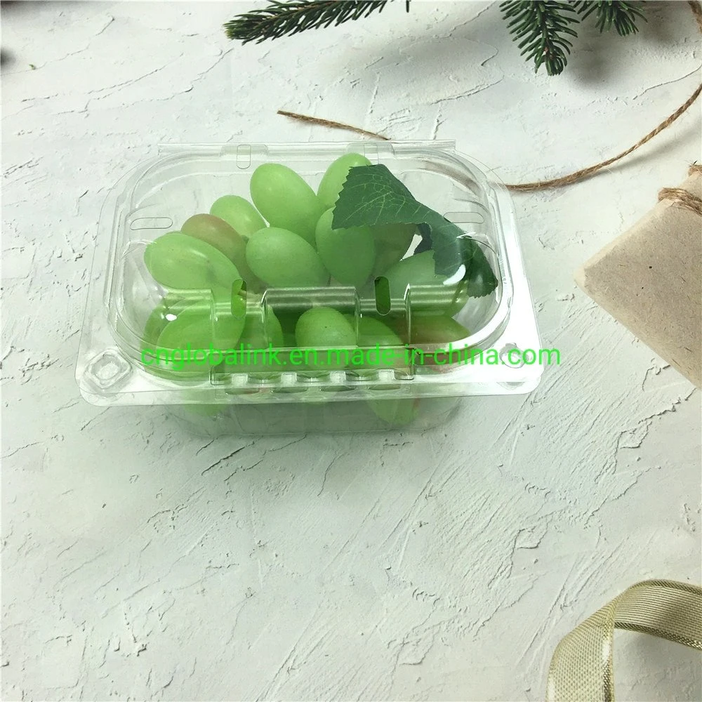 Disposable Plastic Blister Clamshells Fruit Packing Punnets Tomatoes 250 Grams Plastic Packaging