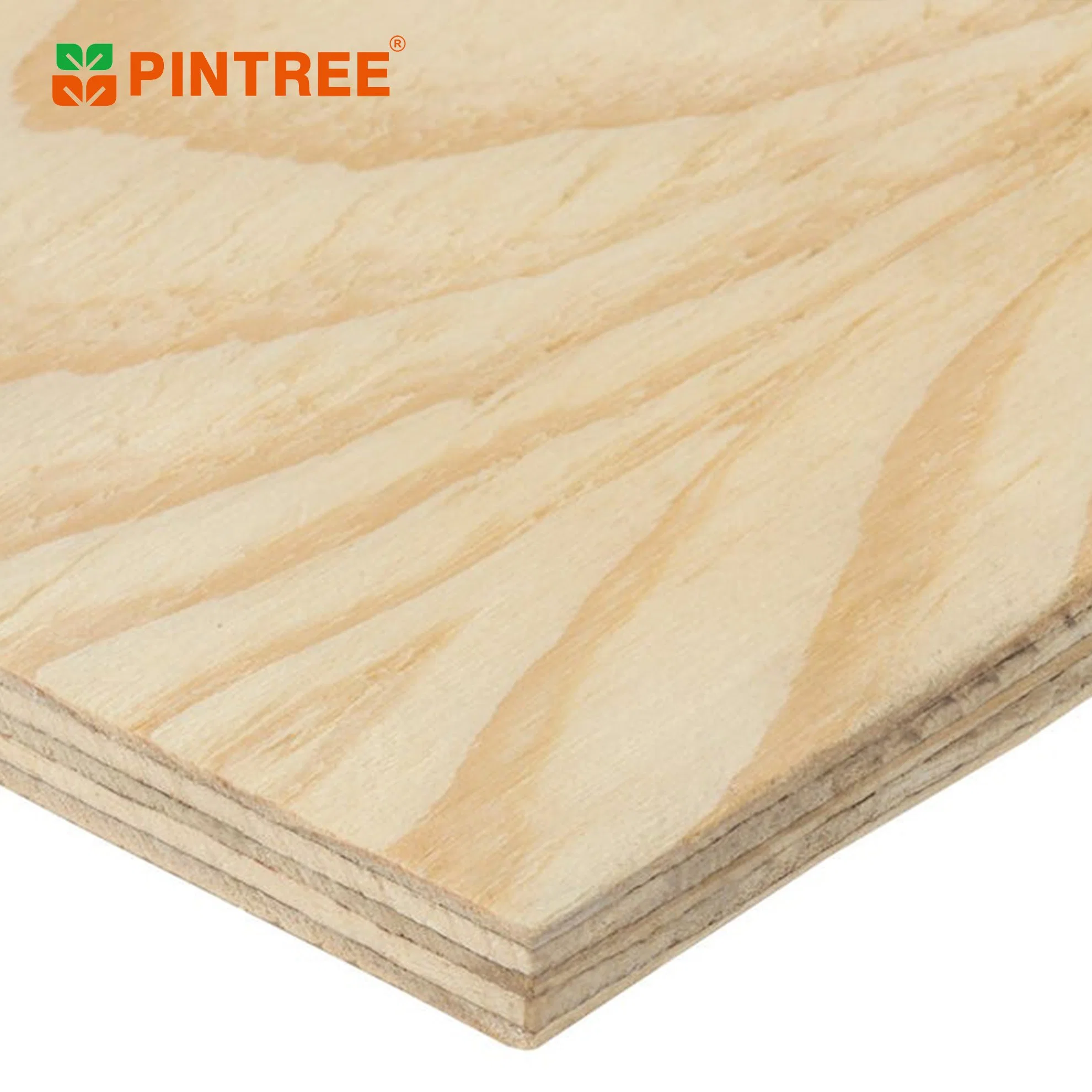 La alta calidad Okoume/Bintangor/Cedro lápiz/Poplar/abedul/Pino frente la madera contrachapada utiliza en muebles