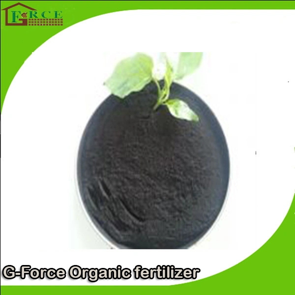 Organic Fertilizers for Rice Fertilizers Are Rich in High N Content Nitro Humic Acids