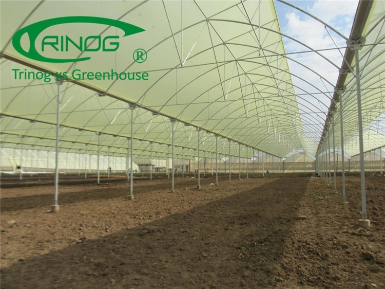 Hot Sale Agricultural Multi-Span Cultivation Hydroponics System Film Greenhouse for Vegetables