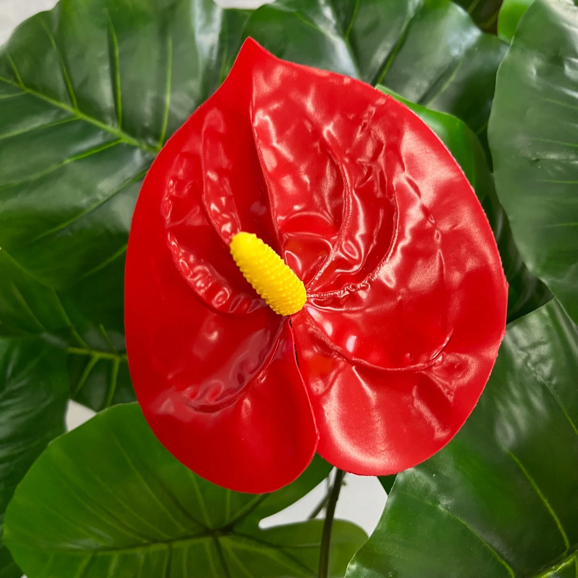 Fashion Plastic Exquisite Anthurium Can Be Customized, Artificial and Decorative Plant Flower Tree