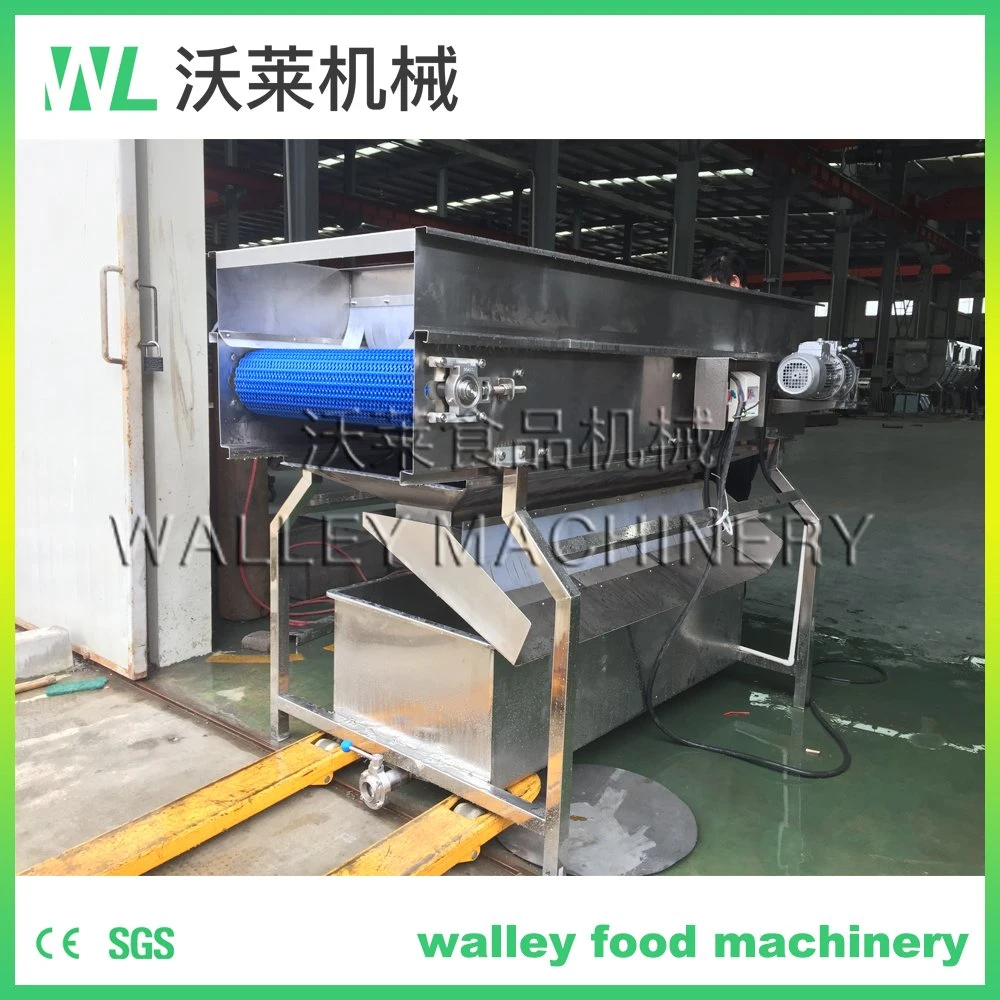 Continuous Onion Cleaner High Pressure Cleaning Machine