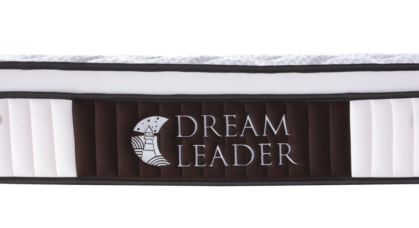 Nuevo Dreamleader Rectangular/OEM comprimir y el rodillo en la caja de cartón Novilia colchón clínica