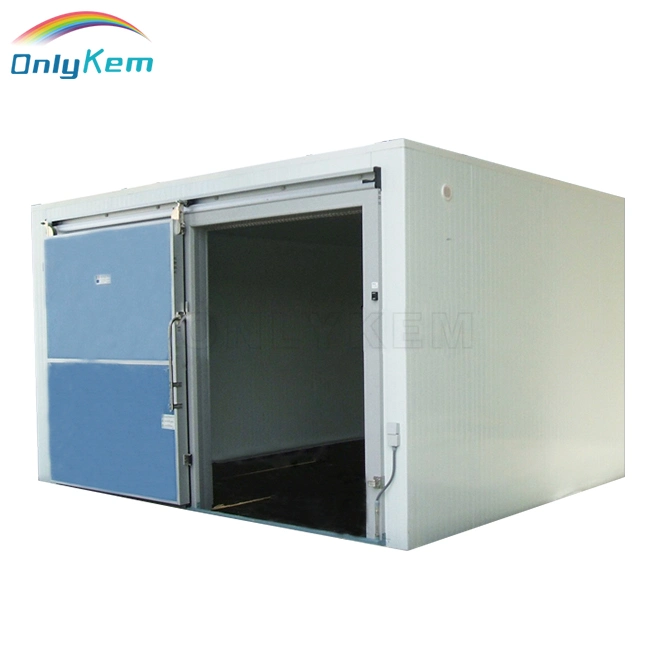 Manufacturer Frozen Fish Storage Freezer Cold Room in Bulgaria