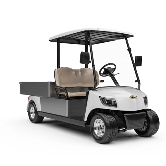 Hot Selling 48V Battery Operate Utility Vehicle Electric Utility Golf Car with Two Seats (DG-M2 + Cargo box)